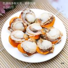 �r���F����ؐ���̖���|���r���Ұ����ؐȫؐ����ˮ�a