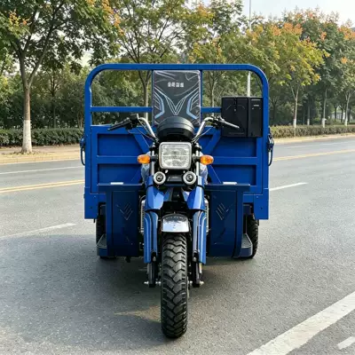 Popular Overseas Fuel-Powered Three-Wheeled Passenger Cart with Canopy, Strong Power and Practicality for Cross-Border Passenger Transport in Southeast Asia (Sərnişin üçtəkərli motosikllar)
