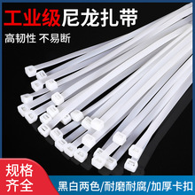 ���������������iʽ���ۏ������`�����̶�늾��������̶����ڰ�