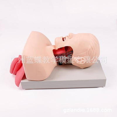 J50���˵������ܲ�ܽ�ѧģ�ʹ����� ���弱��ѵ�� ����ѹ�ȱ���