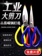 üӲÿpNô̖IkùS÷buǼ