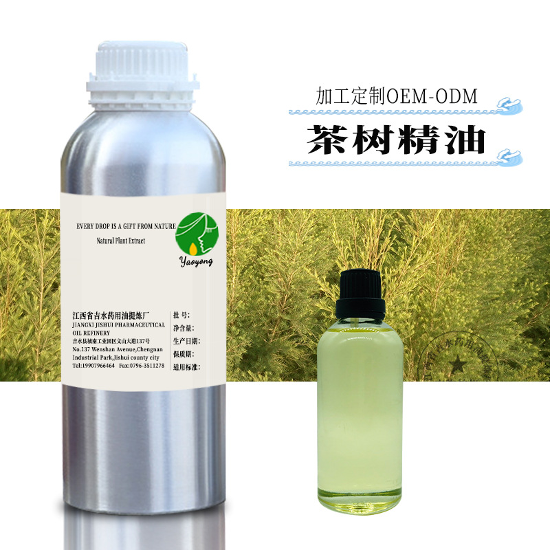 供应 澳洲茶树精油 白千层精油 单方精油 日化原料