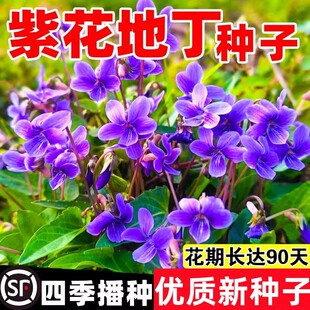 �ϻ��ض��N�Ѳ��ϻ��ض����N���ļ��Nֲ����ș�ÿ�ض��N��