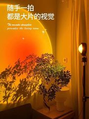 落地灯ins风可调色日落灯氛围灯美容院主播拍照直播日不落夕阳灯