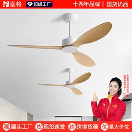 风扇灯;电风扇;吊扇