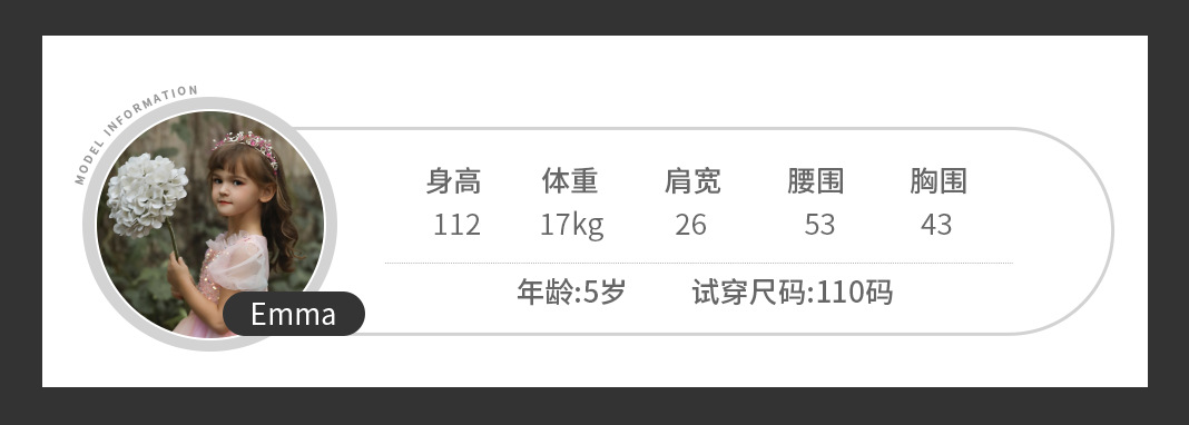 新模特信息