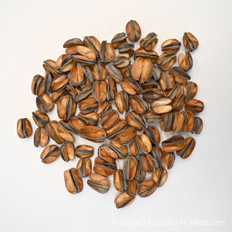 [Imported Small Fruit Shells] Small Fruit Shells, Dried Fruit Specimens, Soybean Pods, Handmade DIY Materials Wholesale