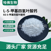 L-5-�׻��Ě��~���}98%�׻��~�� �����~��6S-5-�׻��Ě��~���}