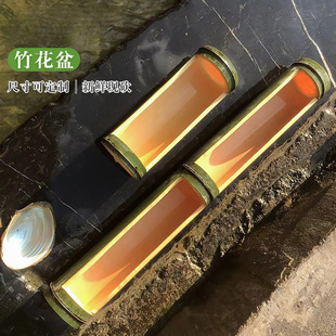 Fresh hanging bamboo flower pot wedding flower arrangement ornaments planting flowers green planting fleshy bamboo pot