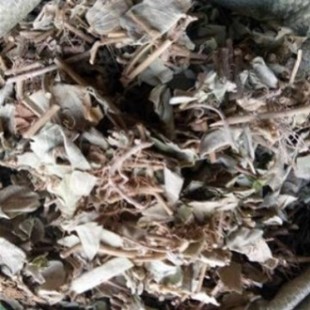 ���X�����dș�Ĵ��~ ���X�� �V���X�� �a�� �V��