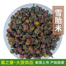 菊之意雪胎米产地货源散装量大从优现货批发安国