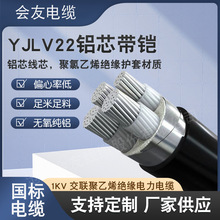 廠家批發低壓電力電纜 鋁芯帶鎧YJLV22 聚氯乙烯護套配件