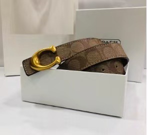 皮带新款女生腰带女百搭装饰配西装牛仔裤设计感小众潮流裤带现货|undefined