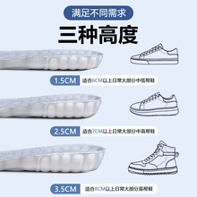 ʿƤЬЬ|1cmŮ_[\߉|ȫ|