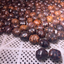 爪哇食籽散籽进口DIY手串佛珠念珠散珠大量现货批发