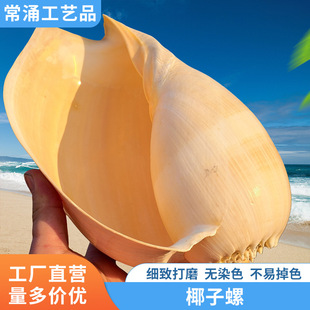 ��Ʒ������ؐ���Sư��Ҭ���� �������Ӽ��b��⻨��[��