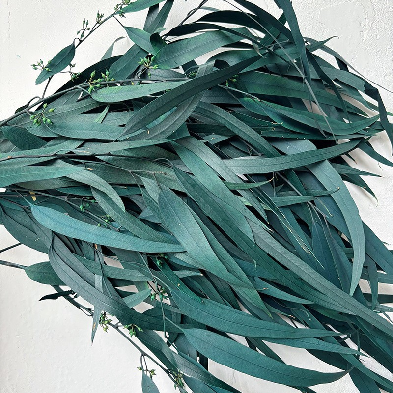 파란색 60-1 그램 묶음