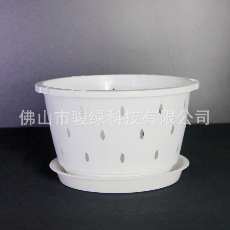 胡蝶蘭専用植木鉢透明プラスチック硬植杯文心蘭石gokコントロール鉢吊り下げ植木鉢クロスボーダー|undefined