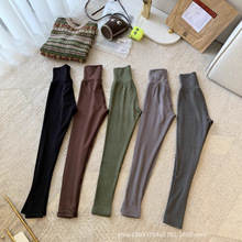 TR超好穿弹力修身打底神裤 秋冬澳绒 the row五色弹力保暖一体裤