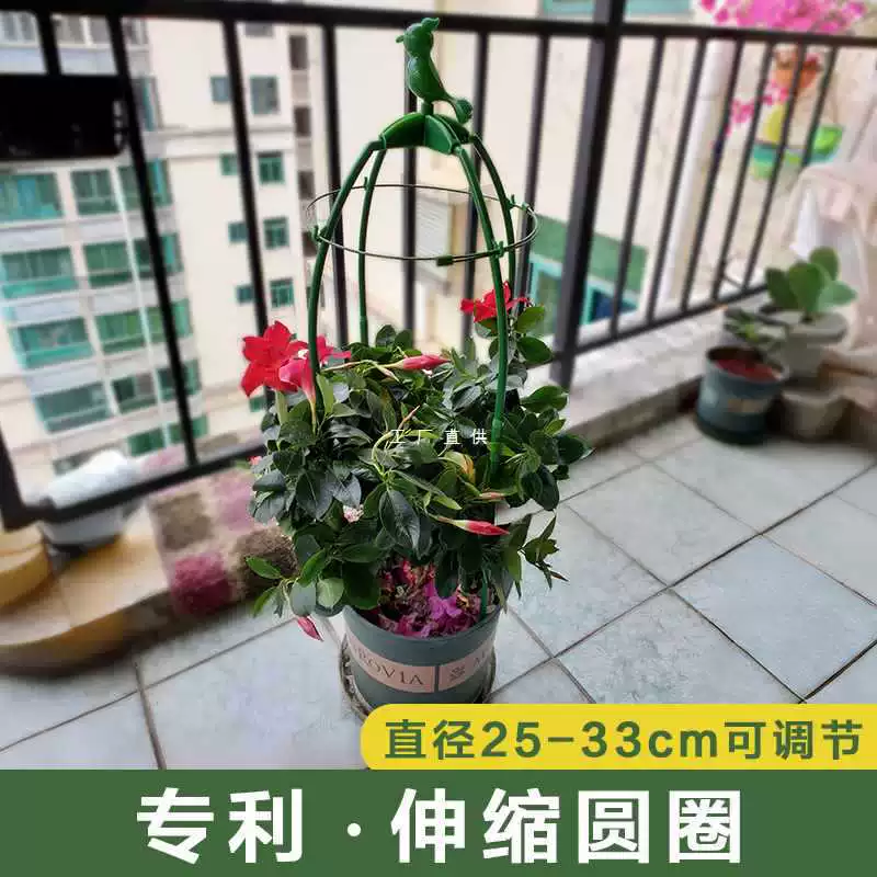 ✅ Кронштейн для поддержки цветов вьющейся розы можно масштабировать по желанию, полка для вьющегося столба клевера, фиксированная тяга для растений розы