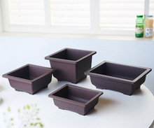 �S�����l����ɰ�����NҎ��������֬����ֲ��Nֲ�@ˇ�Gֲ