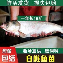 �����~�����Iˮ���������ӻ����~�絭ˮ�~����w���~���~�Ĵ���~