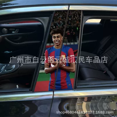 Body sticker | protective film black Wukong painted Meidu - x-33-1-pair-of-main-and-co-pilot