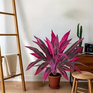 American-Style Cross-Border Amazon Artificial Dragon Blood Tree, Brazilian Wood, Areca Palm, Green Artificial Leaves, Green Plant, Coffee Table, Tea Table, Entryway