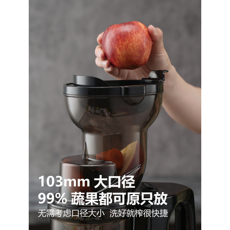 全自动商用分离渣汁原汁机榨汁器德国石榴果汁家用榨汁机包邮|undefined