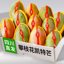 2025现摘四川攀枝花凯特芒果9斤新鲜应季水果芒果整箱特大青忙果