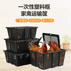 加厚塑料框带盖鸽子兔子宠物活禽运输筐快递打包周转箱筐厂家批发