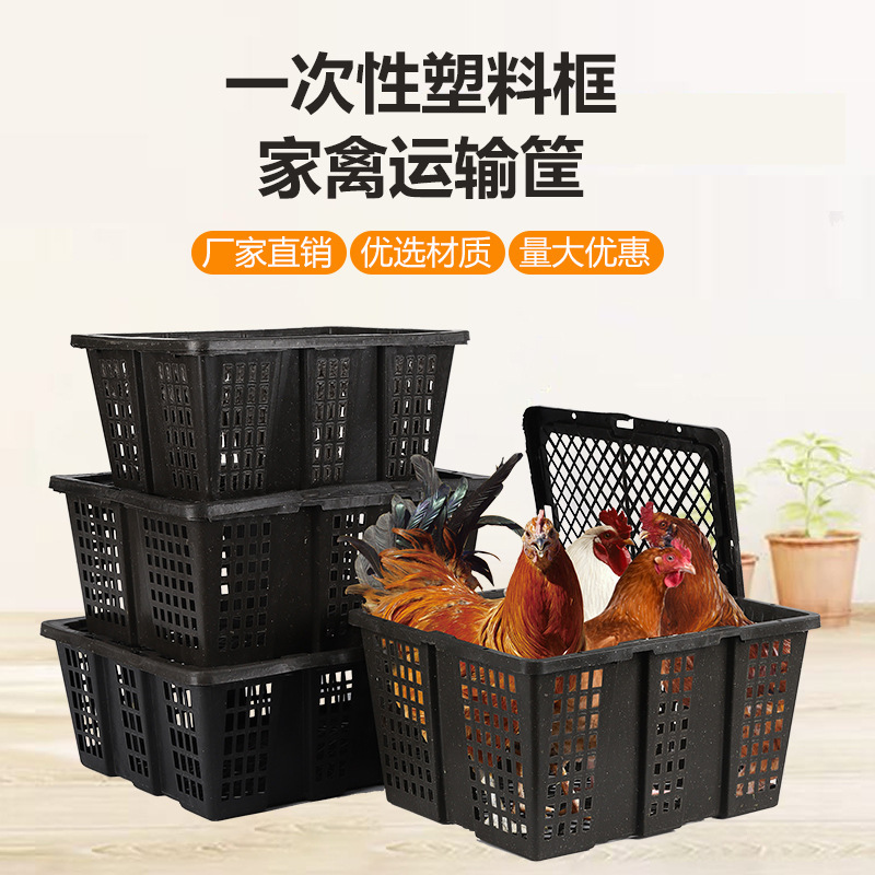 加厚塑料框带盖鸽子兔子宠物活禽运输筐快递打包周转箱筐厂家批发|undefined
