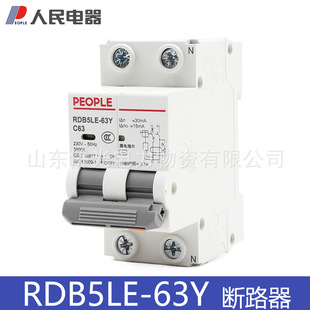 People's electric leakage protector RDB5LE-63Y2P63A integrated leakage switch NXBLE-63Y