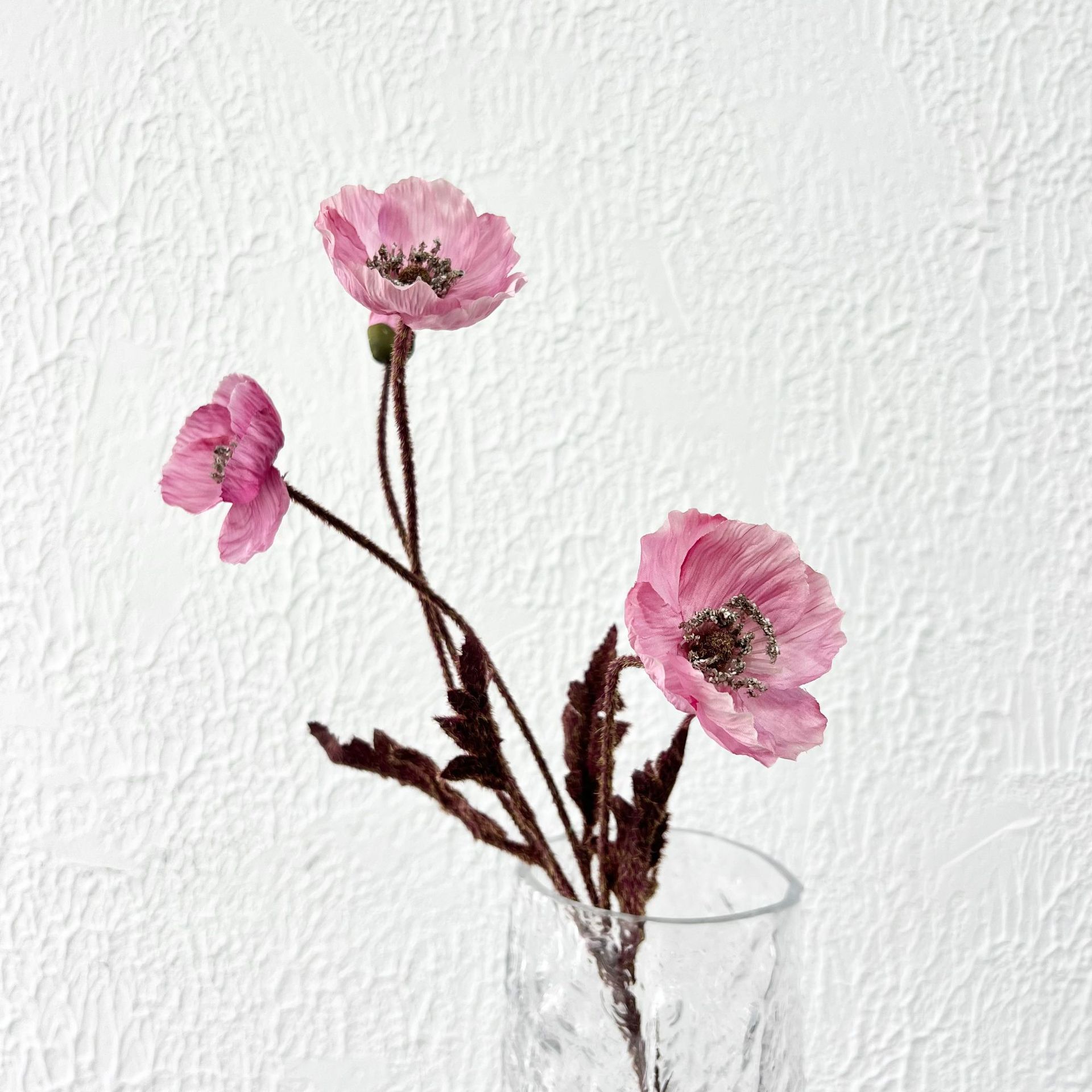 Amapola púrpura de pasta de frijol