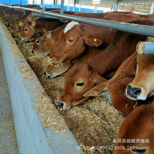 �����������Sţ С��ţ�ٵăr�������SţСţ��