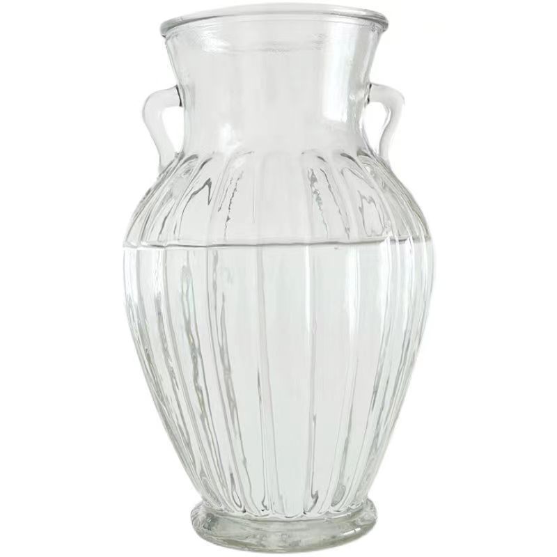 Barra vertical de doble oreja decoración de jarrón de vidrio transparente estilo ins flor seca al por mayor florero de vidrio de rábano verde al por mayor