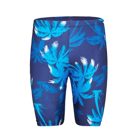 儿童泳衣;泳裤;泳帽