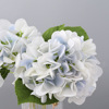 Simulation flower hydrangea feel moisturizing wedding furnishing living room decoration bonsai fake flower hydrangea flower manufacturers wholesale