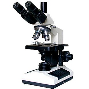 ��������Ŀ�����@΢�R