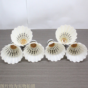 ��ƴ�Zë������ë�� ��ِ���� �ʹ�����ë�� �o��S��ֱ�N