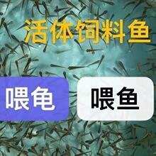 ����������������С����ι�����޺����꿪�������㵭ˮ��������