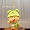 Little duck in green hat