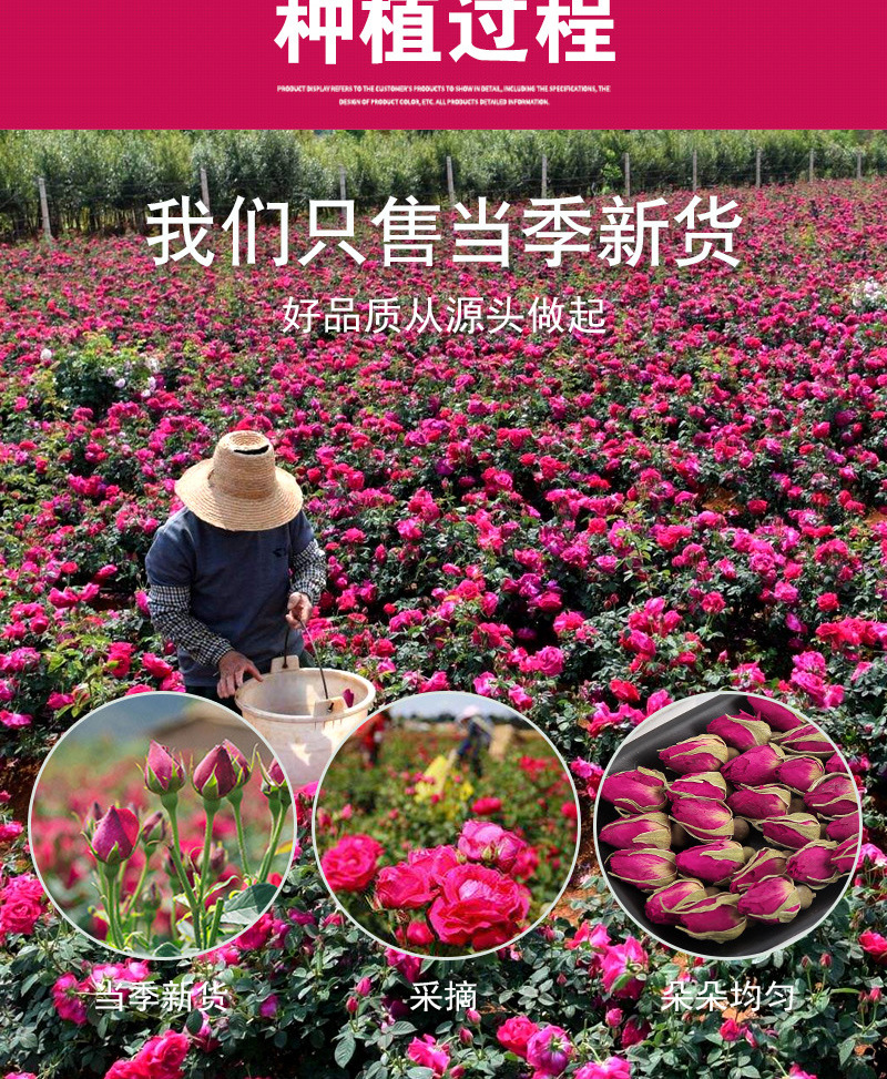 Pingyin Rose Tea (Rosa rugosa) — Sulfur-Free Dried Rose Buds, Loose Bulk 500g preparation