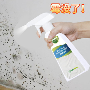White Wall wall mildew remover furniture color wall mildew-proof mildew-proof mildew-removing wallpaper mold remover