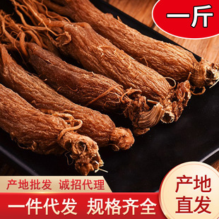 �t���˅����l �L��ɽȫ�ԭƤ�t�����a�|���خa��֧�t���������l