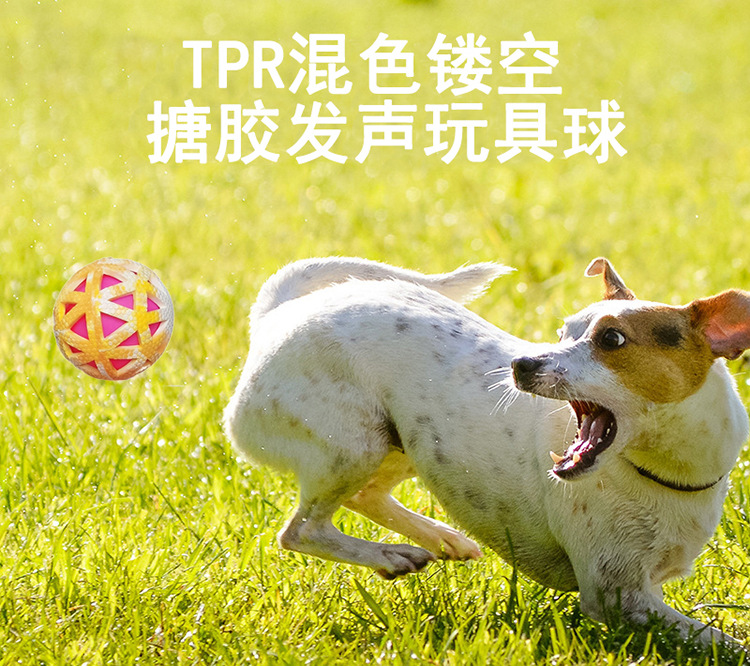 13958347089_2130367543