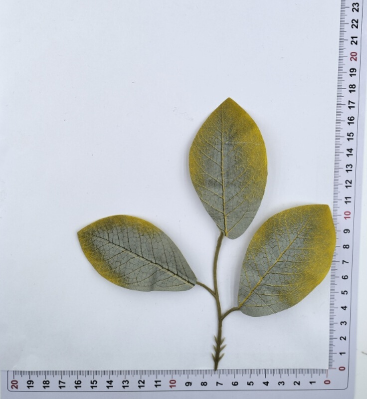 メーカー卸売りシミュレーション緑植シミュレーション春ユーカリ木の葉シルク印刷葉矢印付き三叉ユーカリ木の葉|undefined