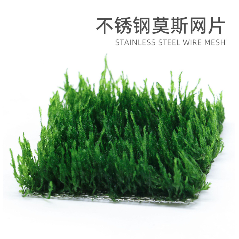 304不锈钢多规格MOSS网片快速成景凤尾苔美凤大鹿角苔珊瑚莫丝s墙
