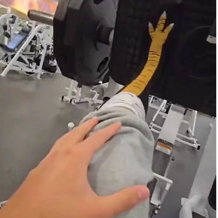 Trendy Quirky Chicken Claw Fitness Socks for Women Tiktok Style Calf Socks Funny Chicken Foot Socks for Men Couple Yoga Over-The-Knee