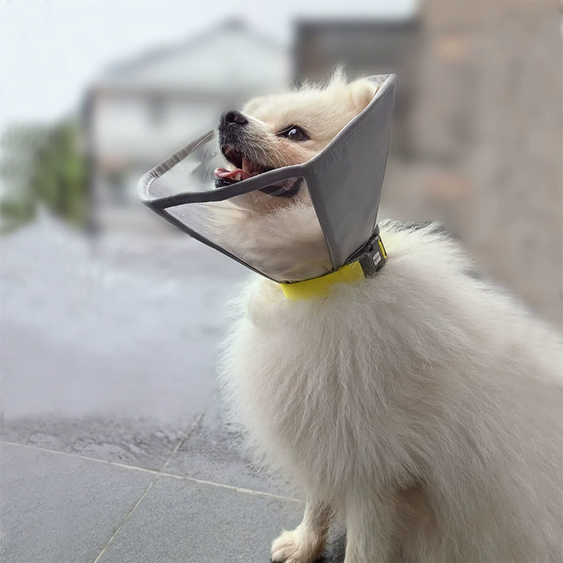 Собака Elizabeth Circle Уход за кошачьей раной